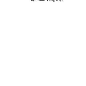 Các vạt tại chỗ trong tạo hình vùng mặt – Velupillai Ilankovan, Madan Ethunandan, Tian Ee Seah